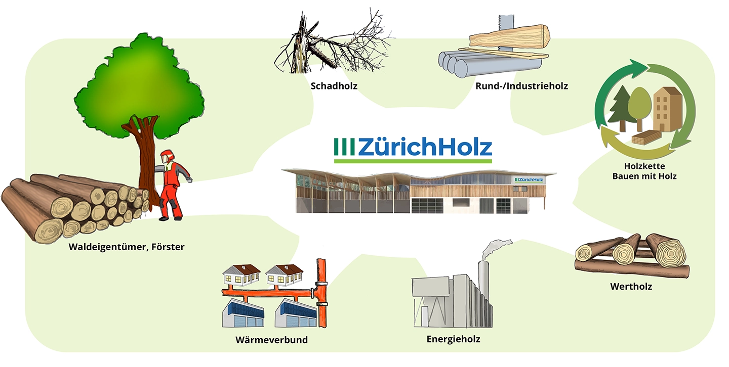 Startgrafik Zürichholz Hozverarbeitung